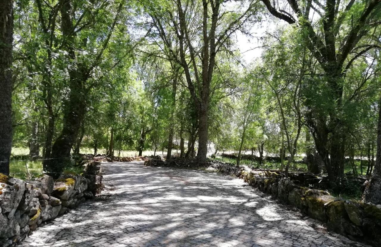 Carya Tallaya - Casas De Campo Vale das Éguas エクステリア 写真