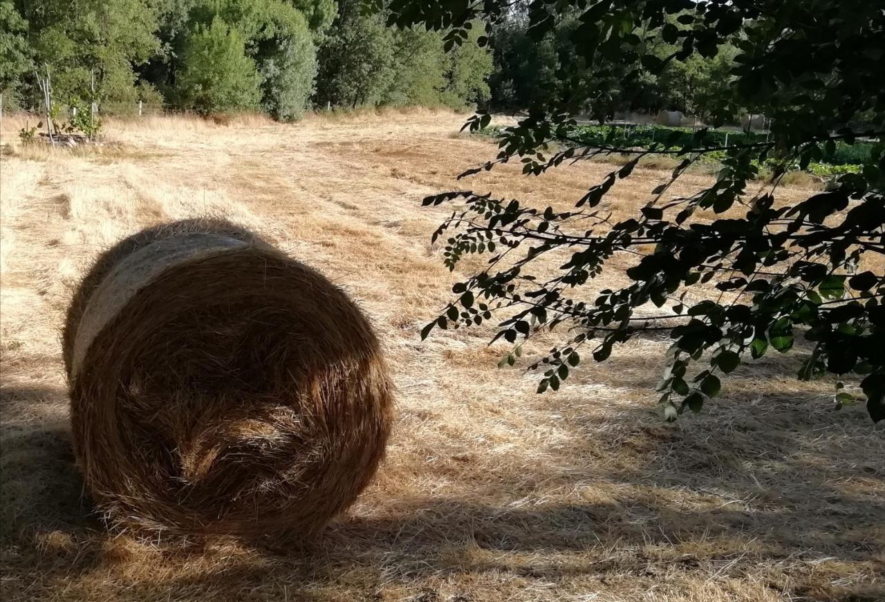 Carya Tallaya - Casas De Campo Vale das Éguas エクステリア 写真