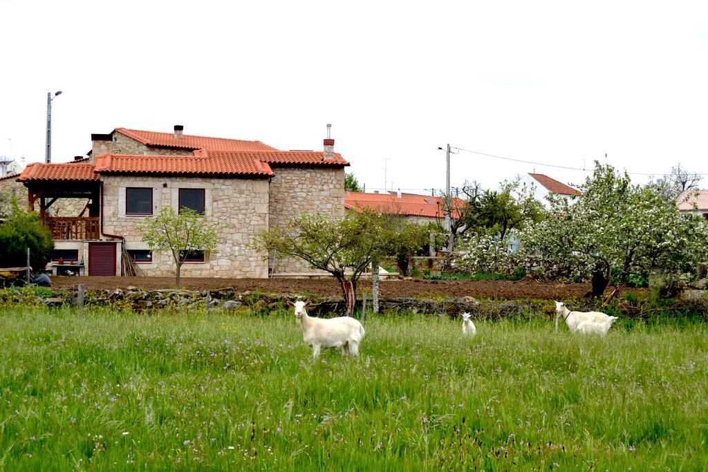 Carya Tallaya - Casas De Campo Vale das Éguas エクステリア 写真